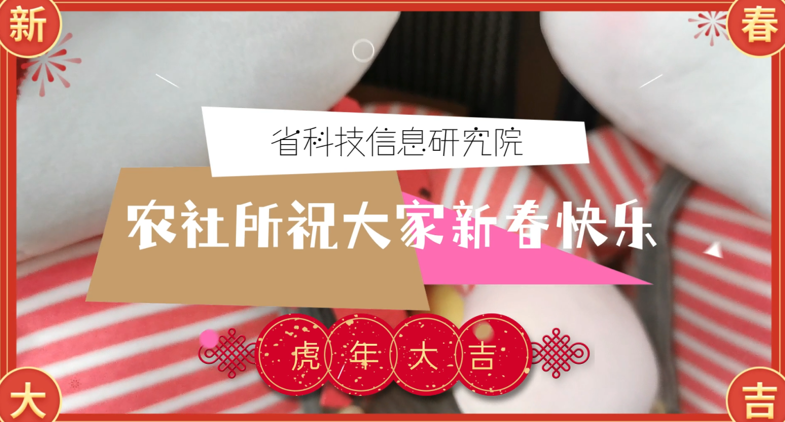 农社所2022年线上团拜会